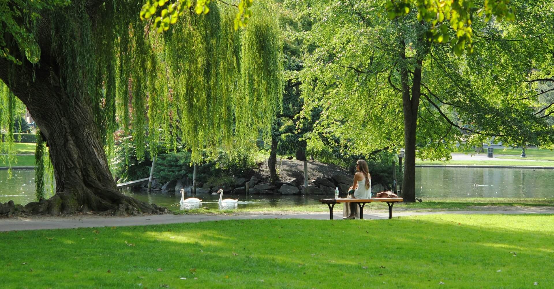 Park mit Bäumen - air dolomiti