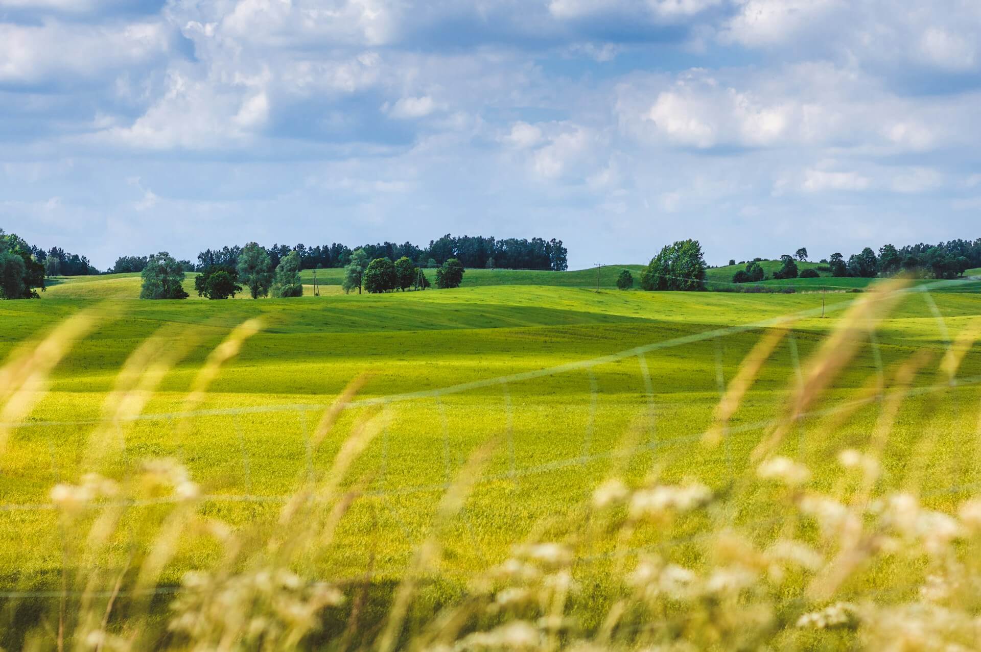 Campagna polacca - Air Dolomiti