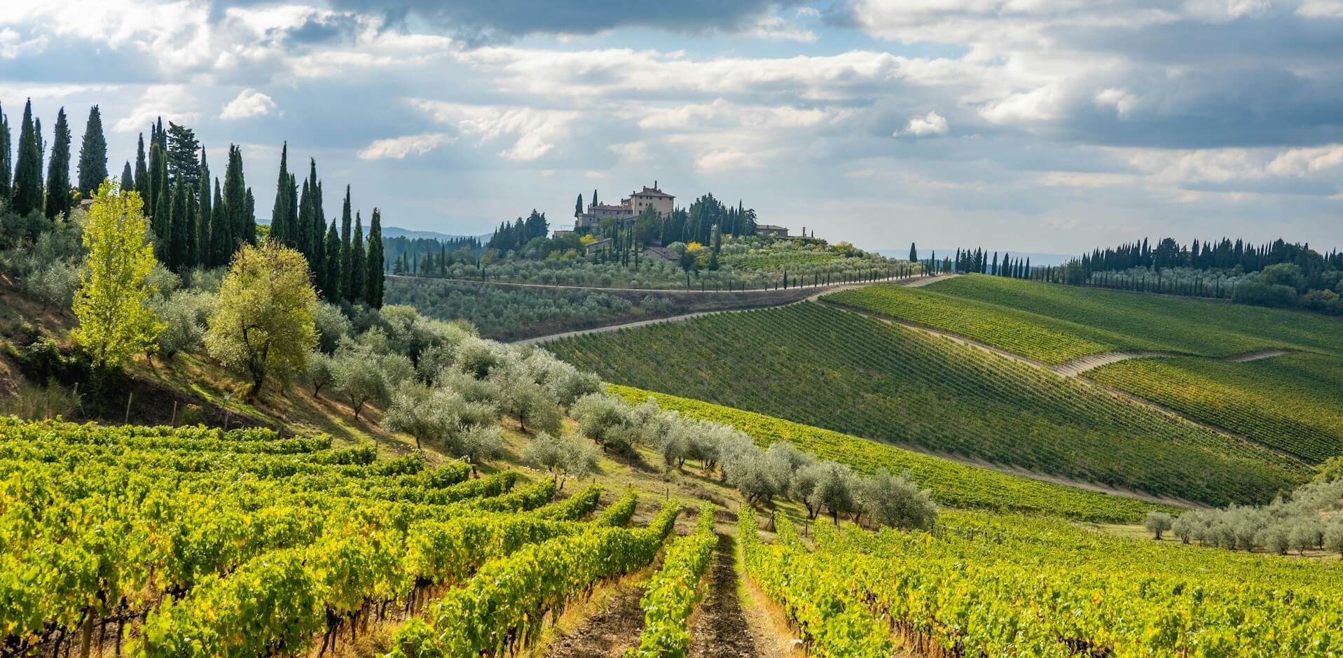 Chianti weingut - Air Dolomiti